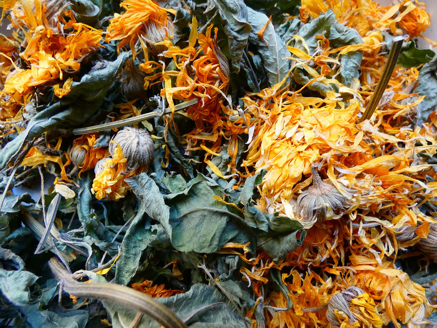 Fleurs de souci et verveine pour lapin