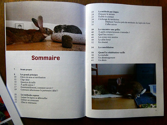 Gérer une cohabitation - Guide de cohabitation du lapin de compagnie. Gwenaëlle Bernard