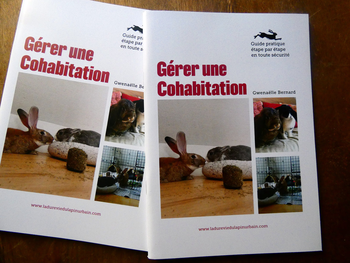 Gérer une cohabitation - Guide de cohabitation du lapin de compagnie. Gwenaëlle Bernard