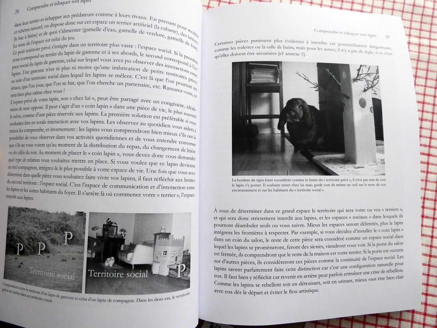 Comprendre et éduquer son lapin. Gwenaëlle Bernard