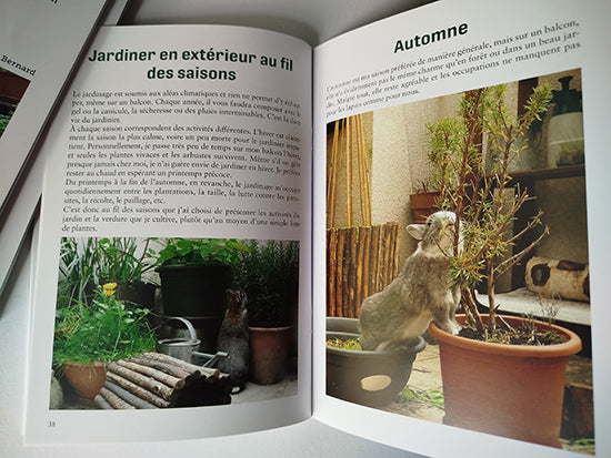 Le potager du lapin urbain