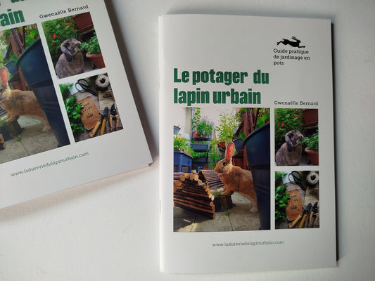 Le potager du lapin urbain