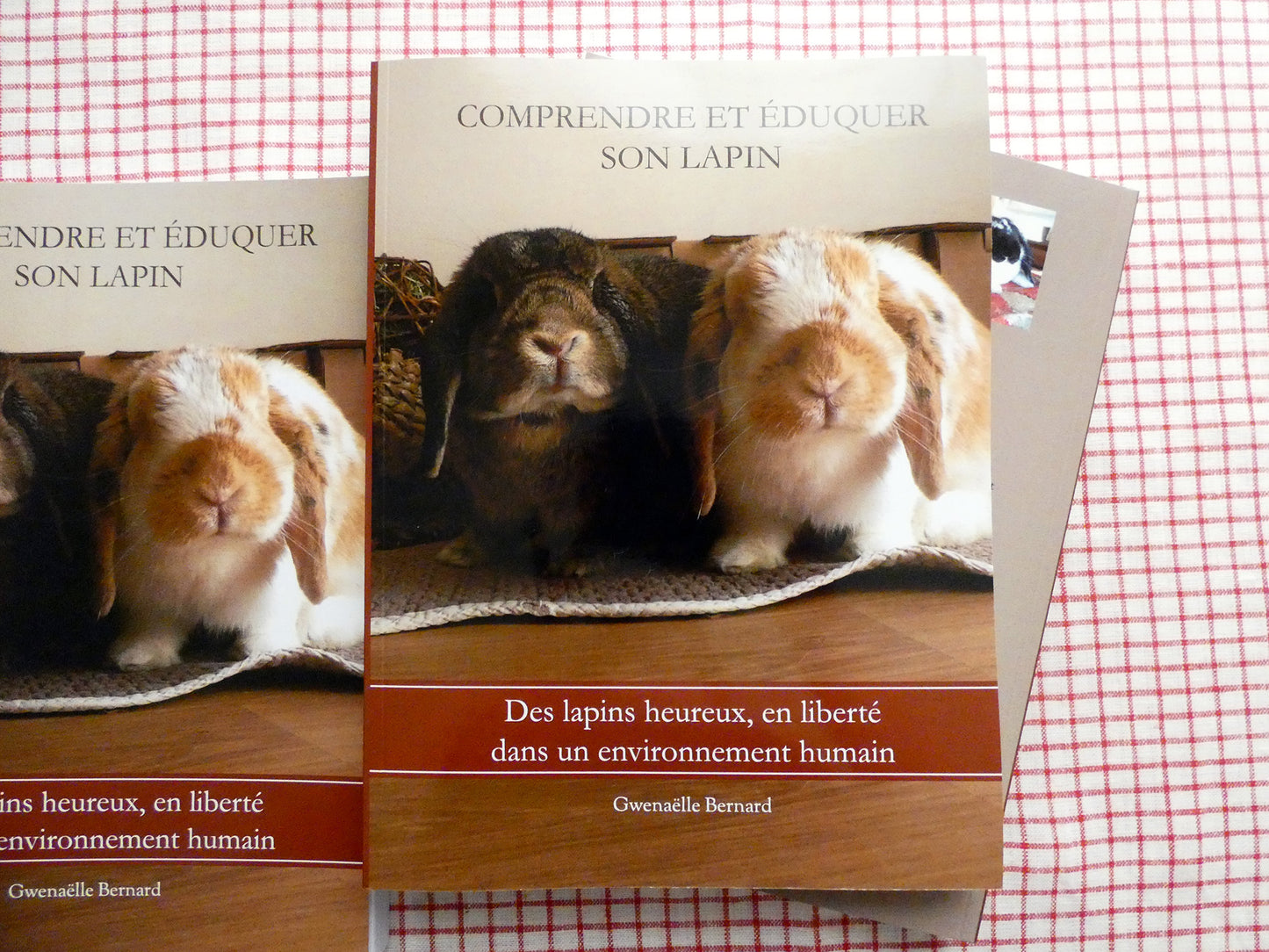 Comprendre et éduquer son lapin