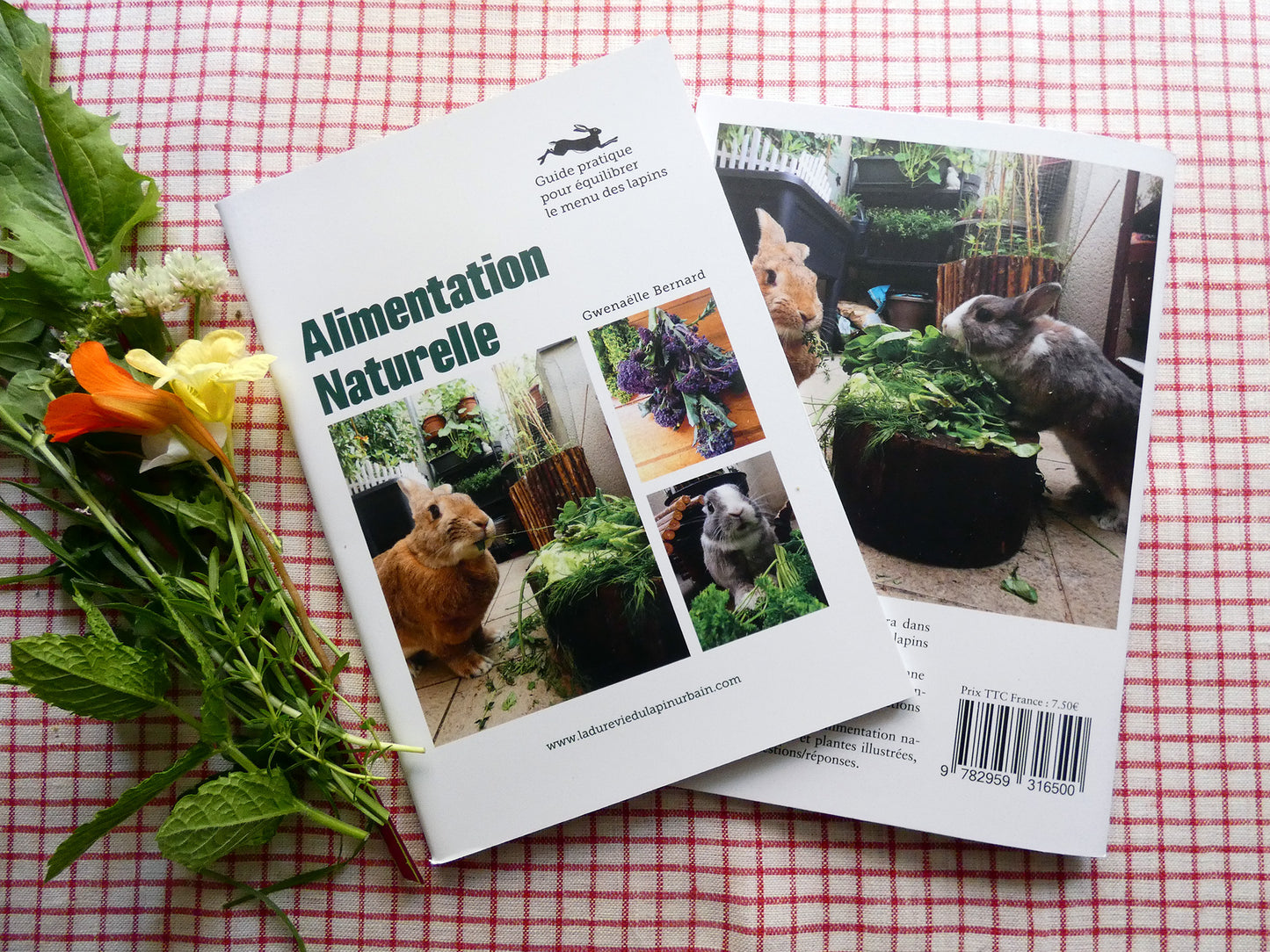 Alimentation naturelle - Guide d'alimentation du lapin de compagnie.