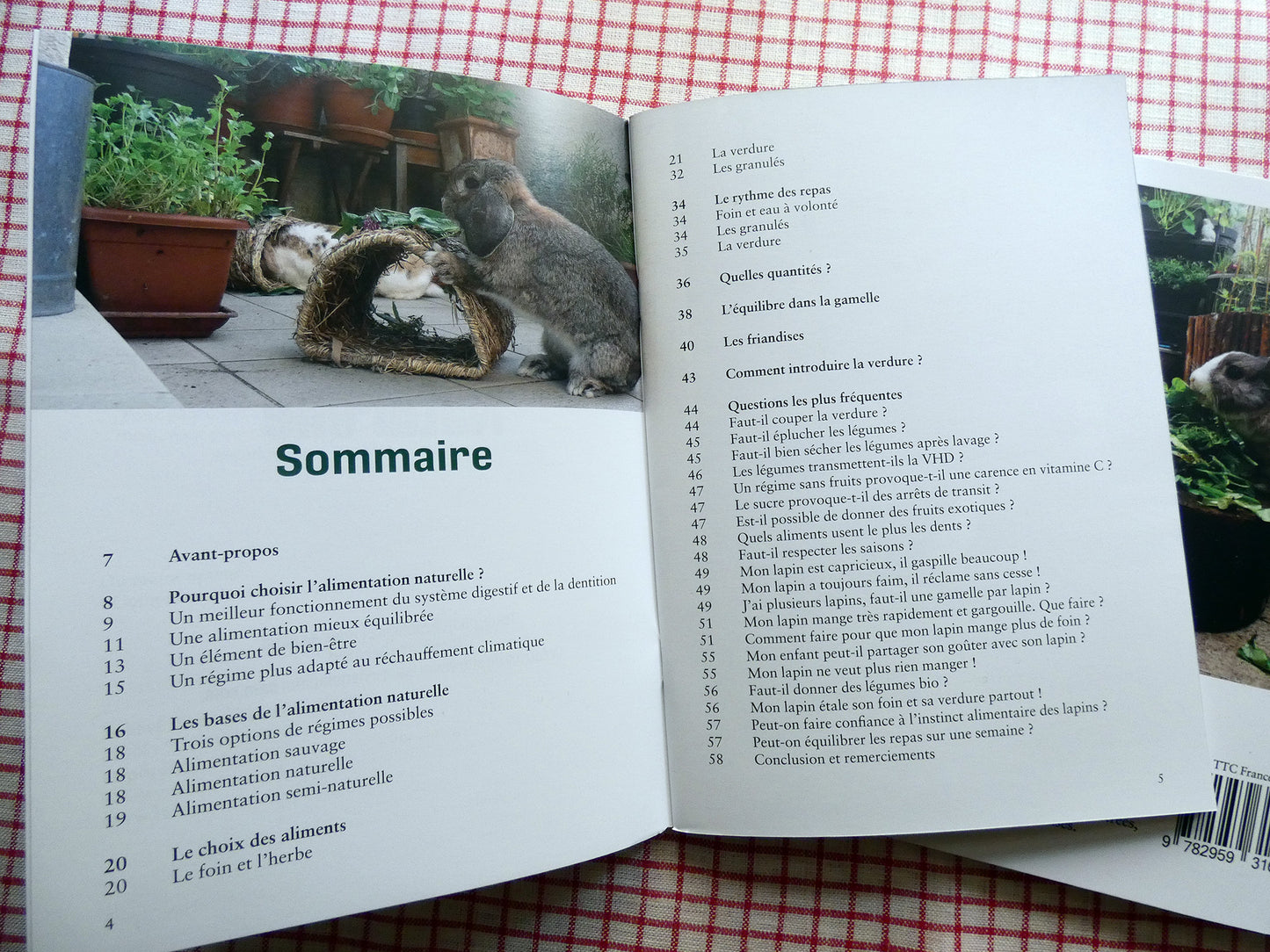 Alimentation naturelle - Guide d'alimentation du lapin de compagnie.